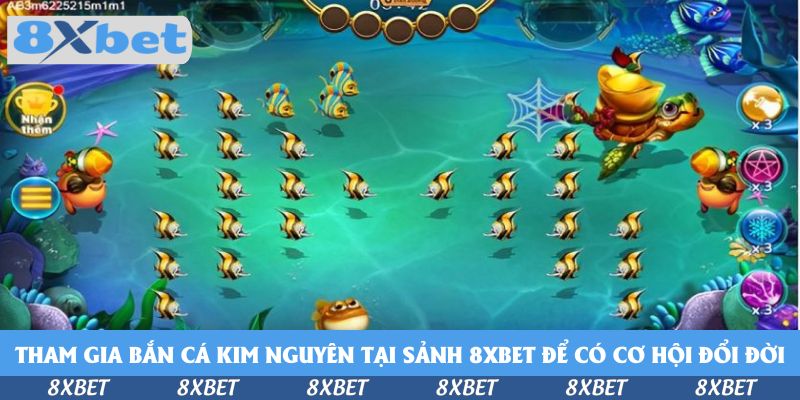 Tham gia bắn cá kim nguyên tại sảnh 8xbet để có cơ hội đổi đời